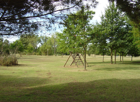 Approvazione Piano del Verde