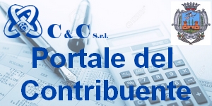 Istituzione del Portale del Contribuente